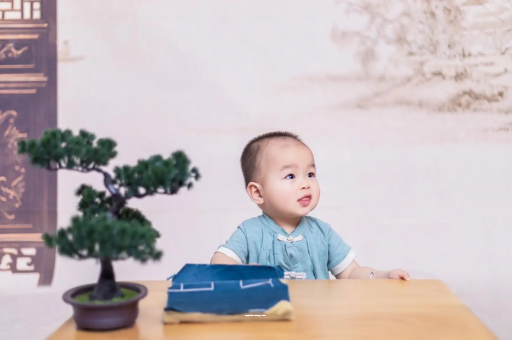 来宾二岁宝宝发型